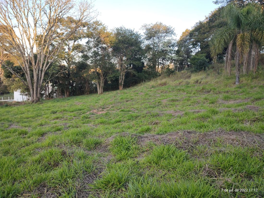 Vegetação nativa dentro do terreno