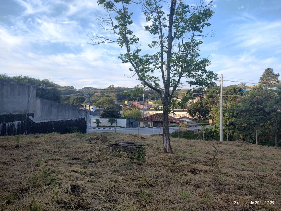 Vista do terreno em direção à divisa